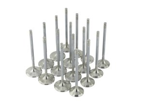 Acura Integra Engine Valve Set - Skunk2 Racing - Alpha Series, Stock Size, Standard Compression - `94-`01
